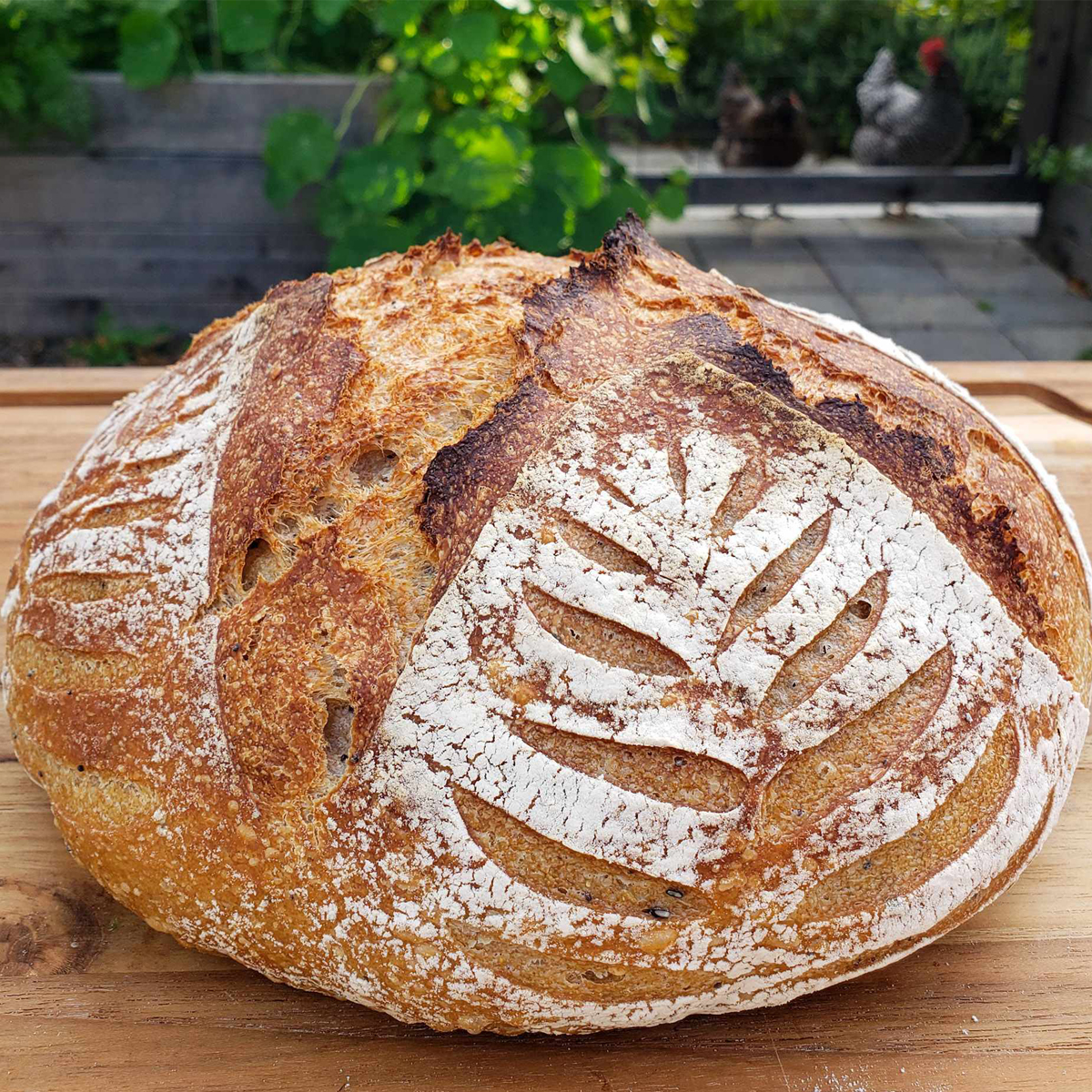 Sourdough-Bread