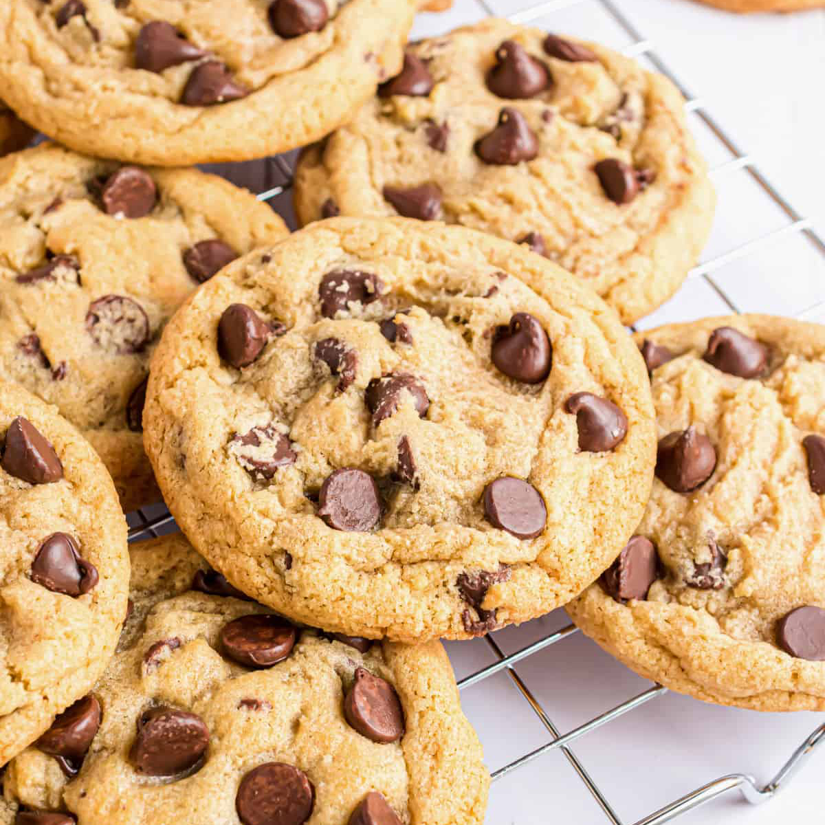 Chocolate-Chip-Cookie