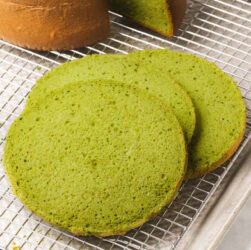 Matcha-Cotton-Soft-Sponge-Cake