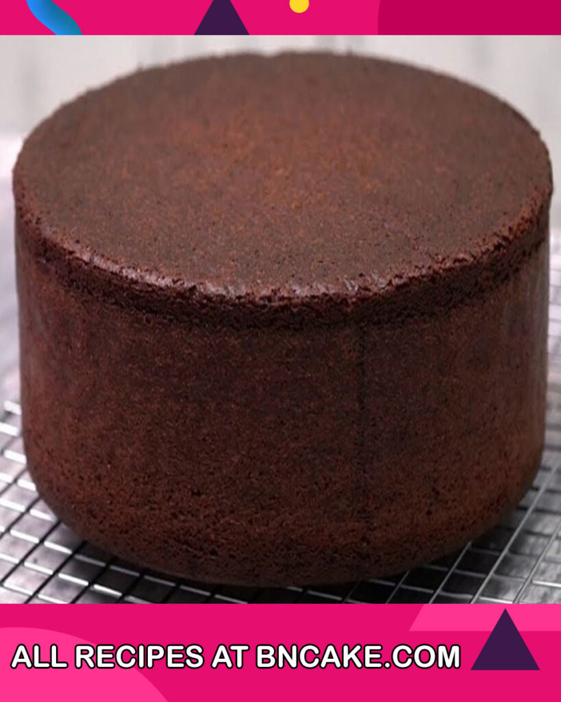 Chocolate-Sponge-Cake-4